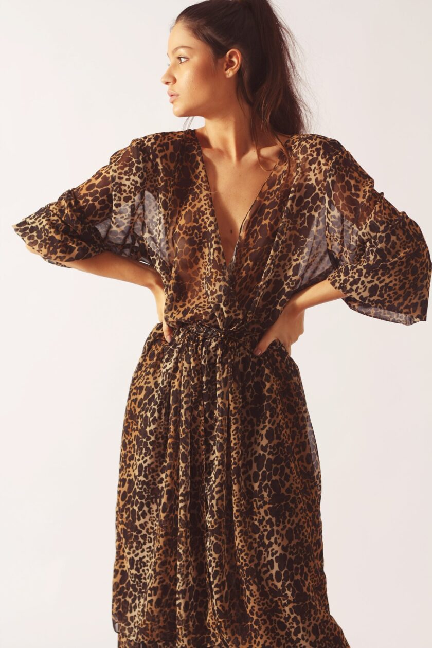 CAPA AGGIE - Image 3