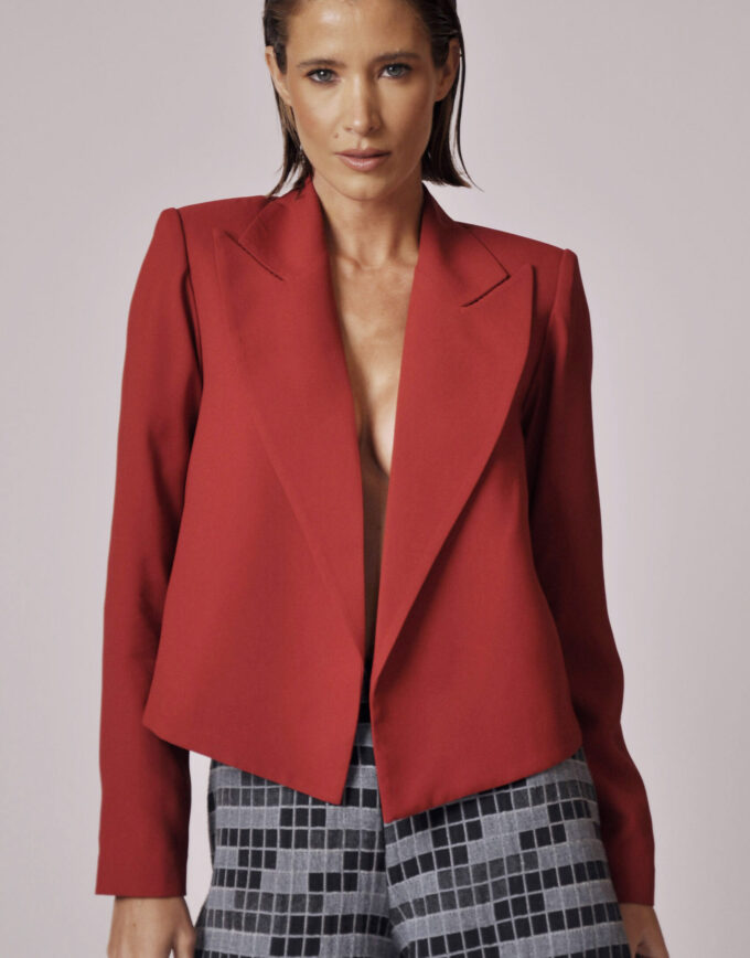 BLAZER ALBERT