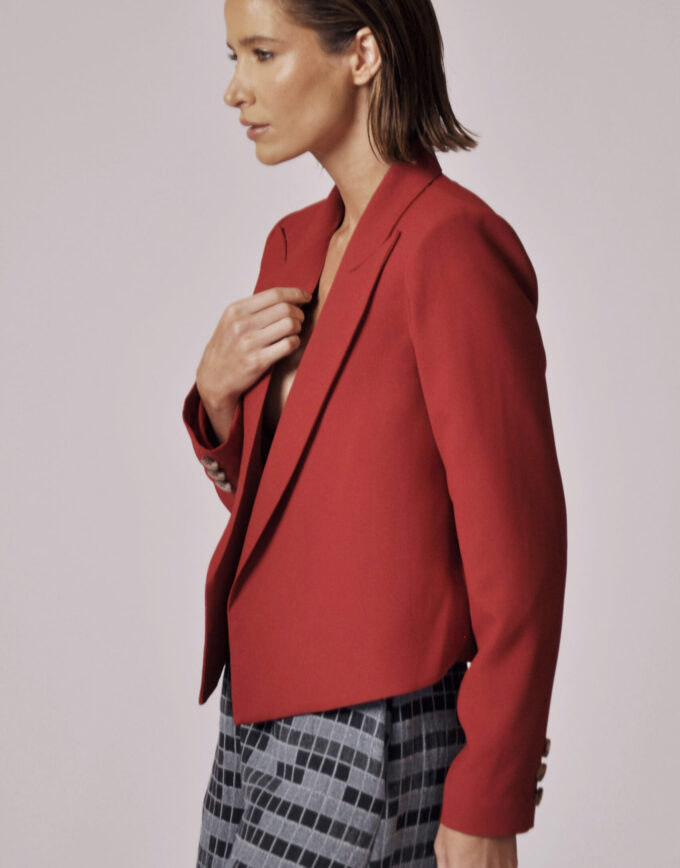 BLAZER ALBERT