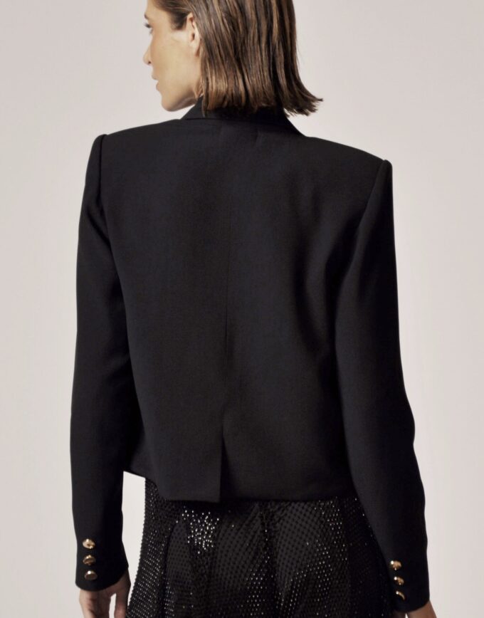 BLAZER LEE